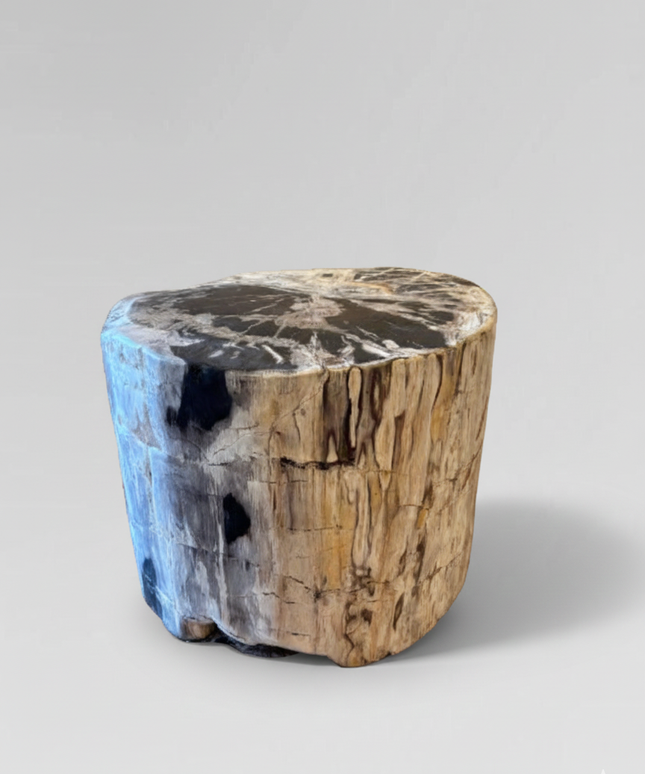 Petrified Stool 8
