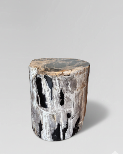Petrified Stool 8