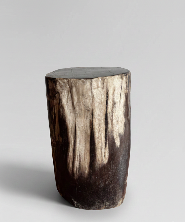 Petrified Stool 9