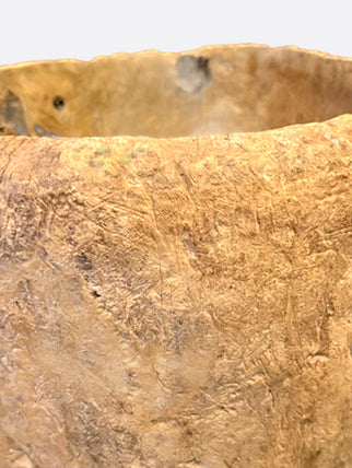 Large teak Burl bowl