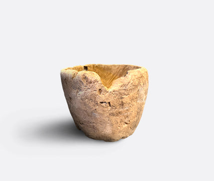 Large teak Burl bowl