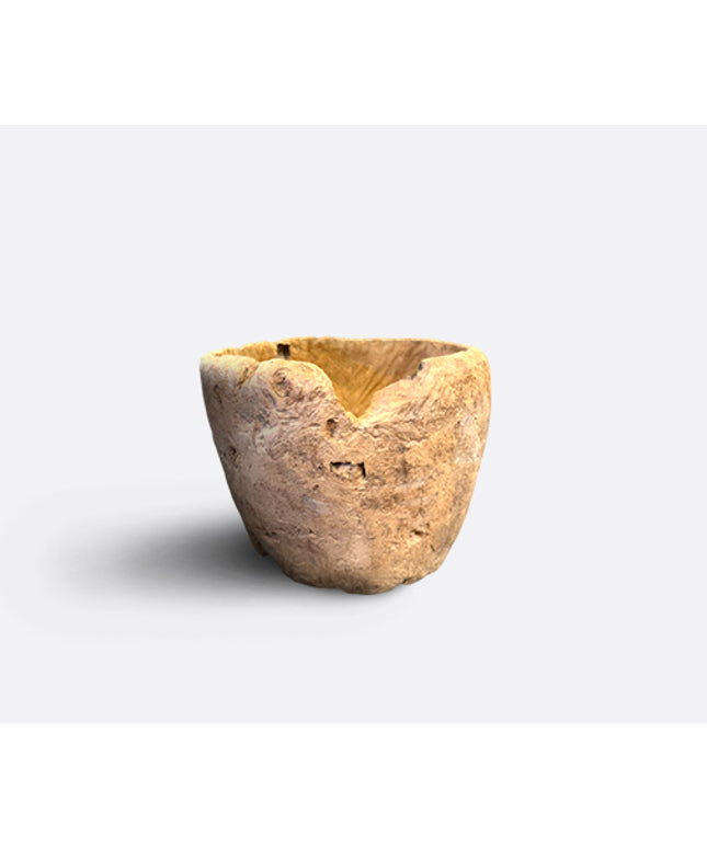 Large teak Burl bowl