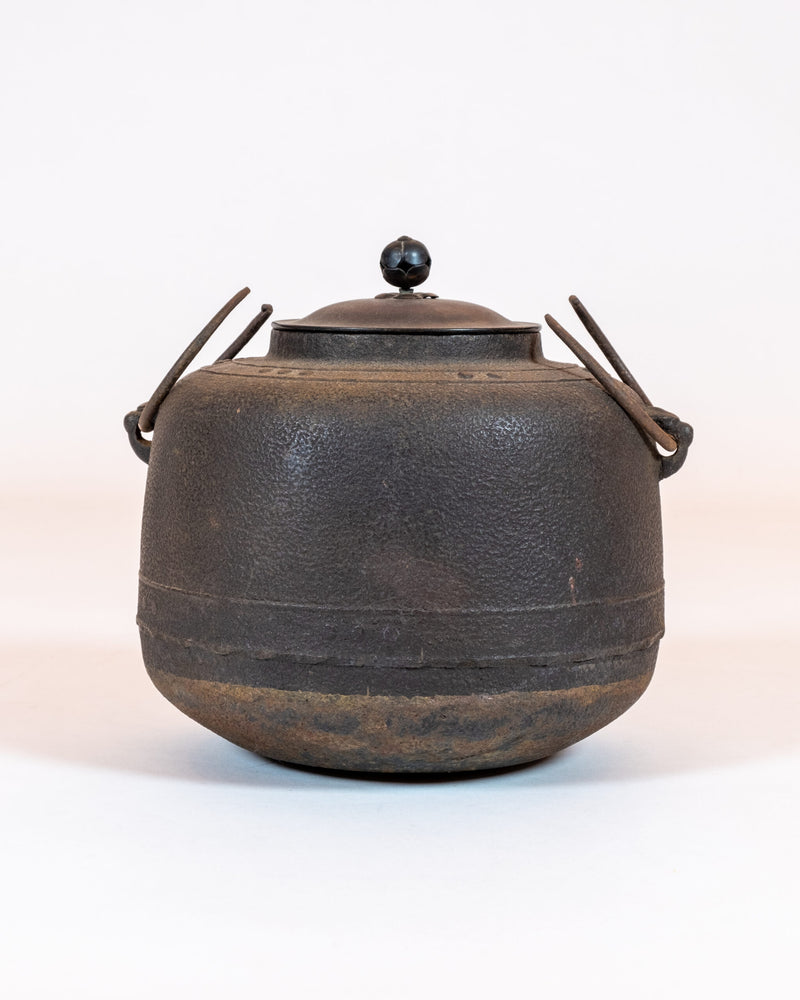 Japanese Cast-Iron Tea Kettle (teapot)