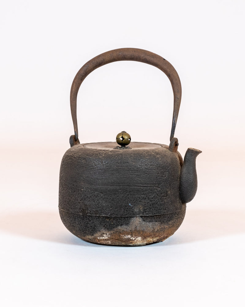 Japanese Cast-Iron Tea Kettle (teapot)