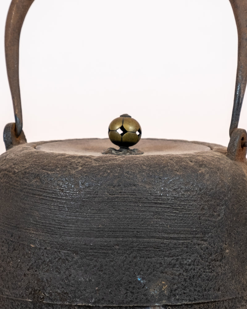 Japanese Cast-Iron Tea Kettle (teapot)