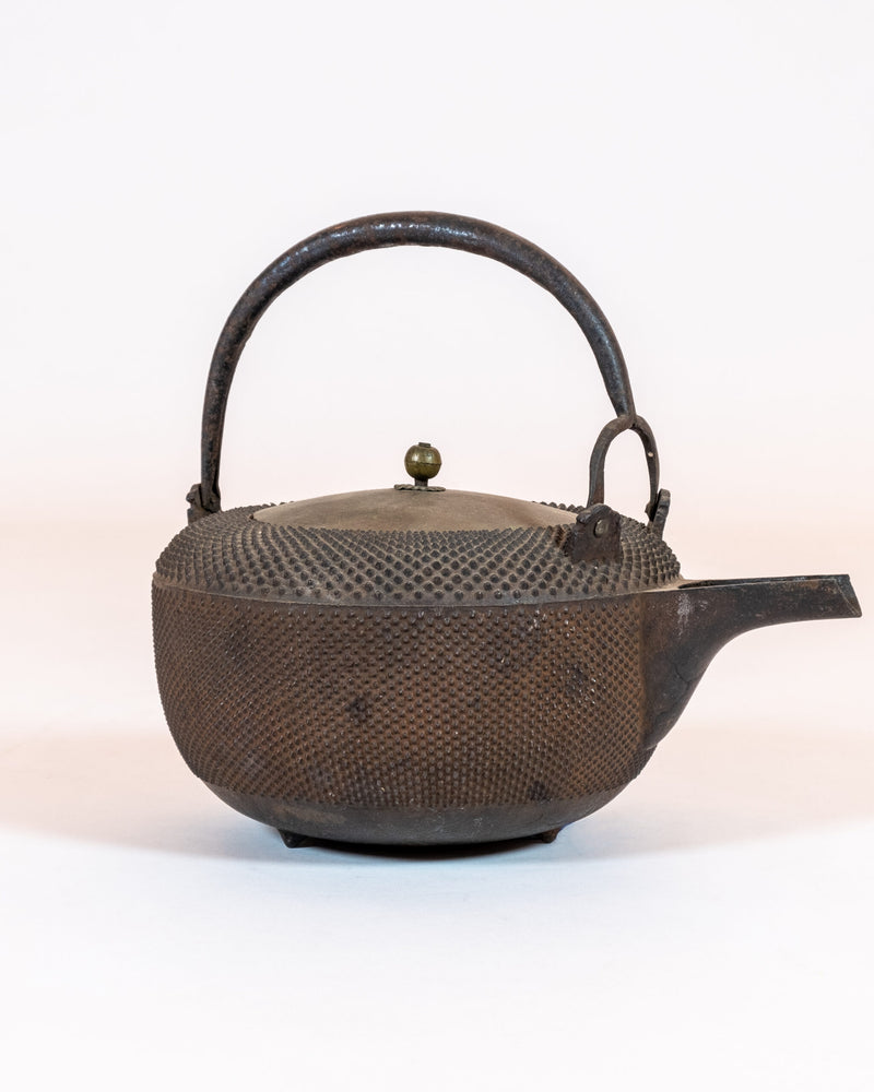 Japanese Cast-Iron Tea Kettle (teapot)
