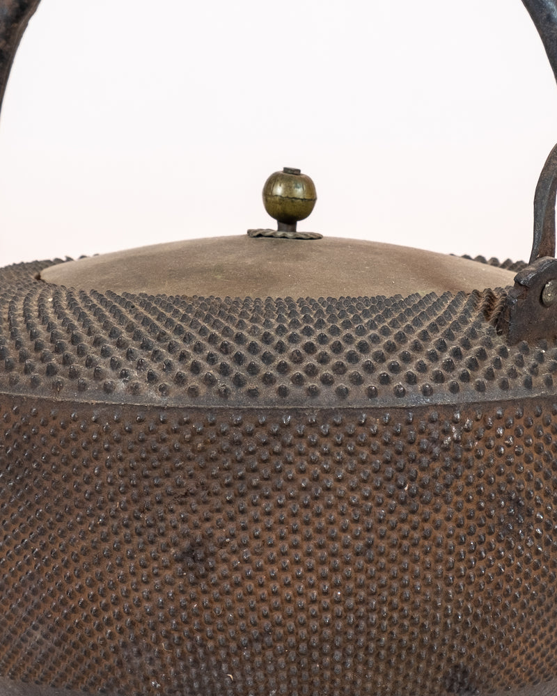 Japanese Cast-Iron Tea Kettle (teapot)