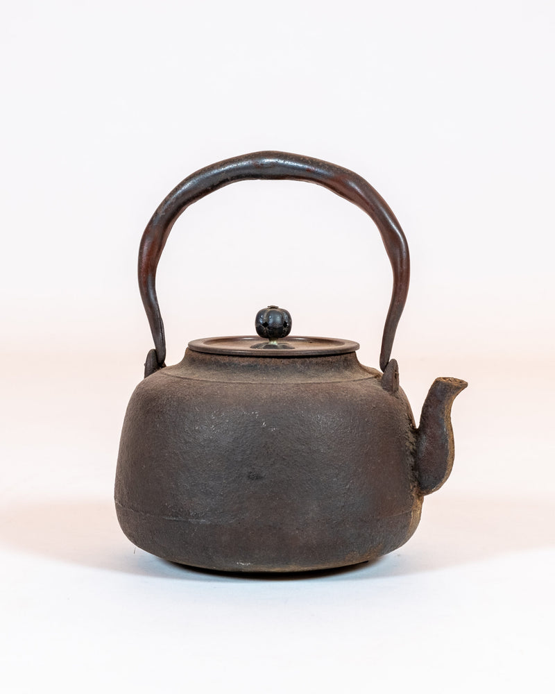 Japanese Cast-Iron Tea Kettle (teapot)