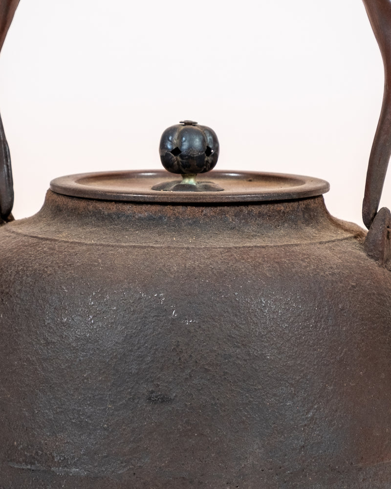 Japanese Cast-Iron Tea Kettle (teapot)
