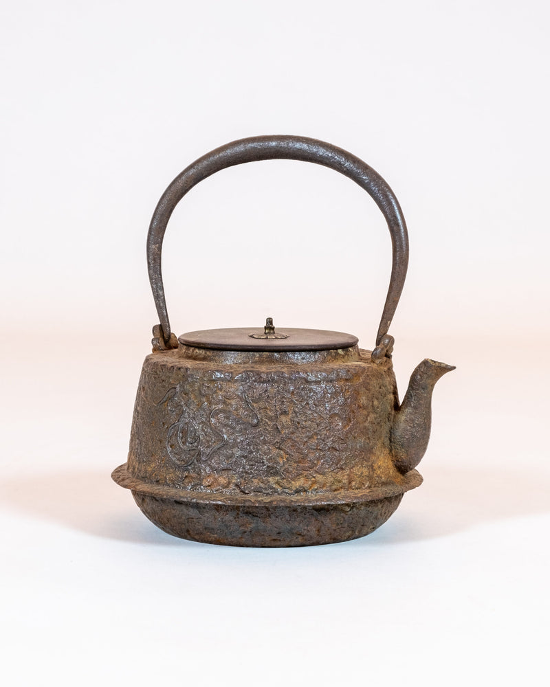 Japanese Cast-Iron Tea Kettle (teapot)