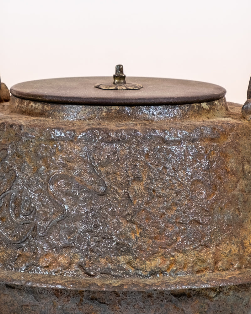 Japanese Cast-Iron Tea Kettle (teapot)