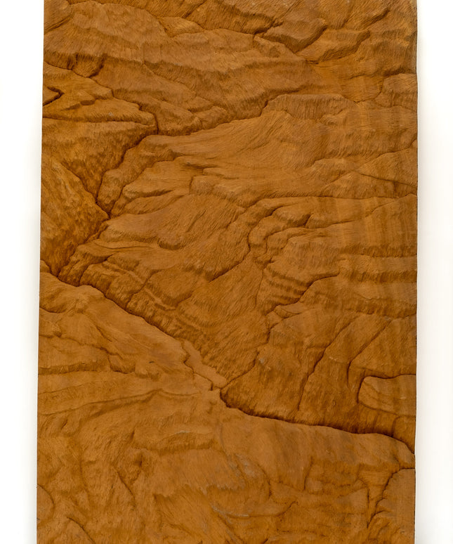 "Canyon" Studio Wood Carving