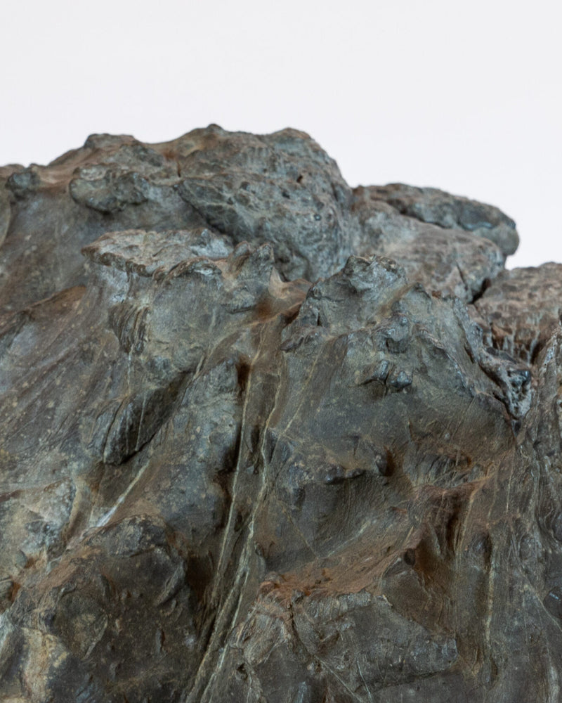 Suiseki (Japanese 'Landscape Scene' Stone)