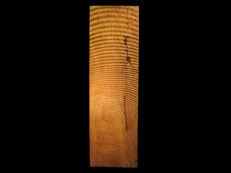 Concentricity - Studio Carving 59x18inches